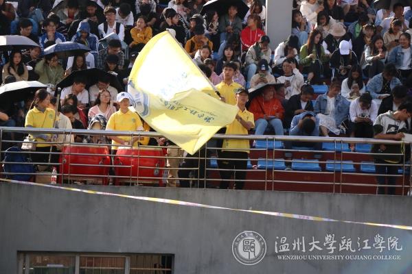 观众摇旗呐喊.jpg